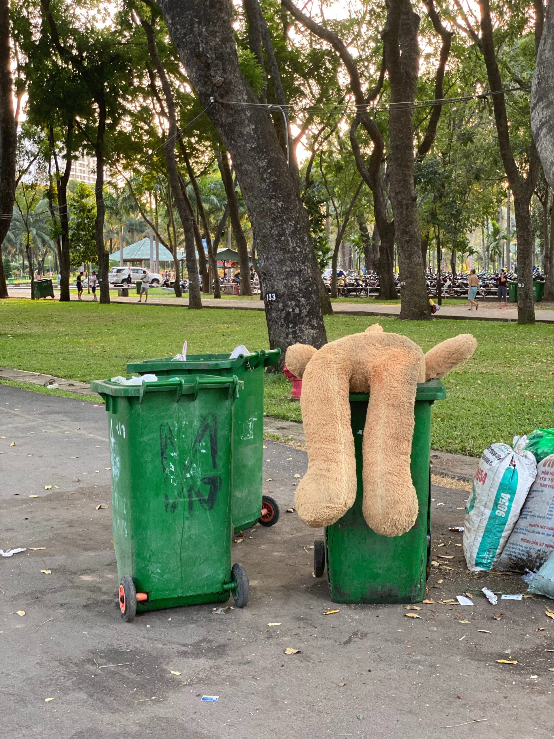 Dumpster rental