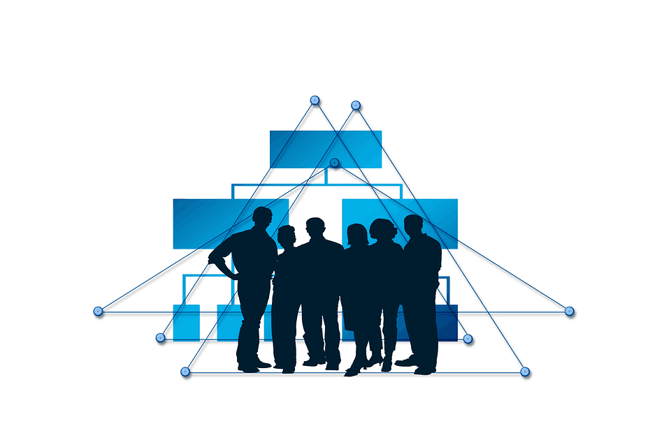 Types of Organization Charts