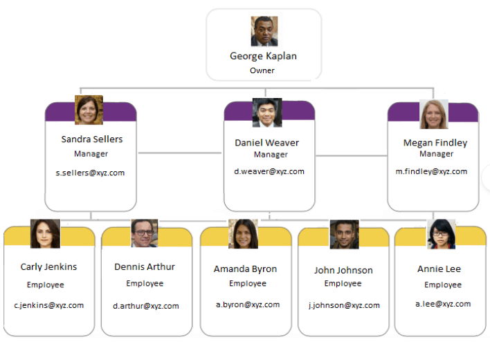 Functional Organization Structure